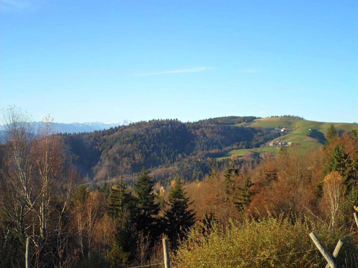 Holiday Home Forest Peace, Lavrovec Hlevni Vrh Zewnętrze zdjęcie