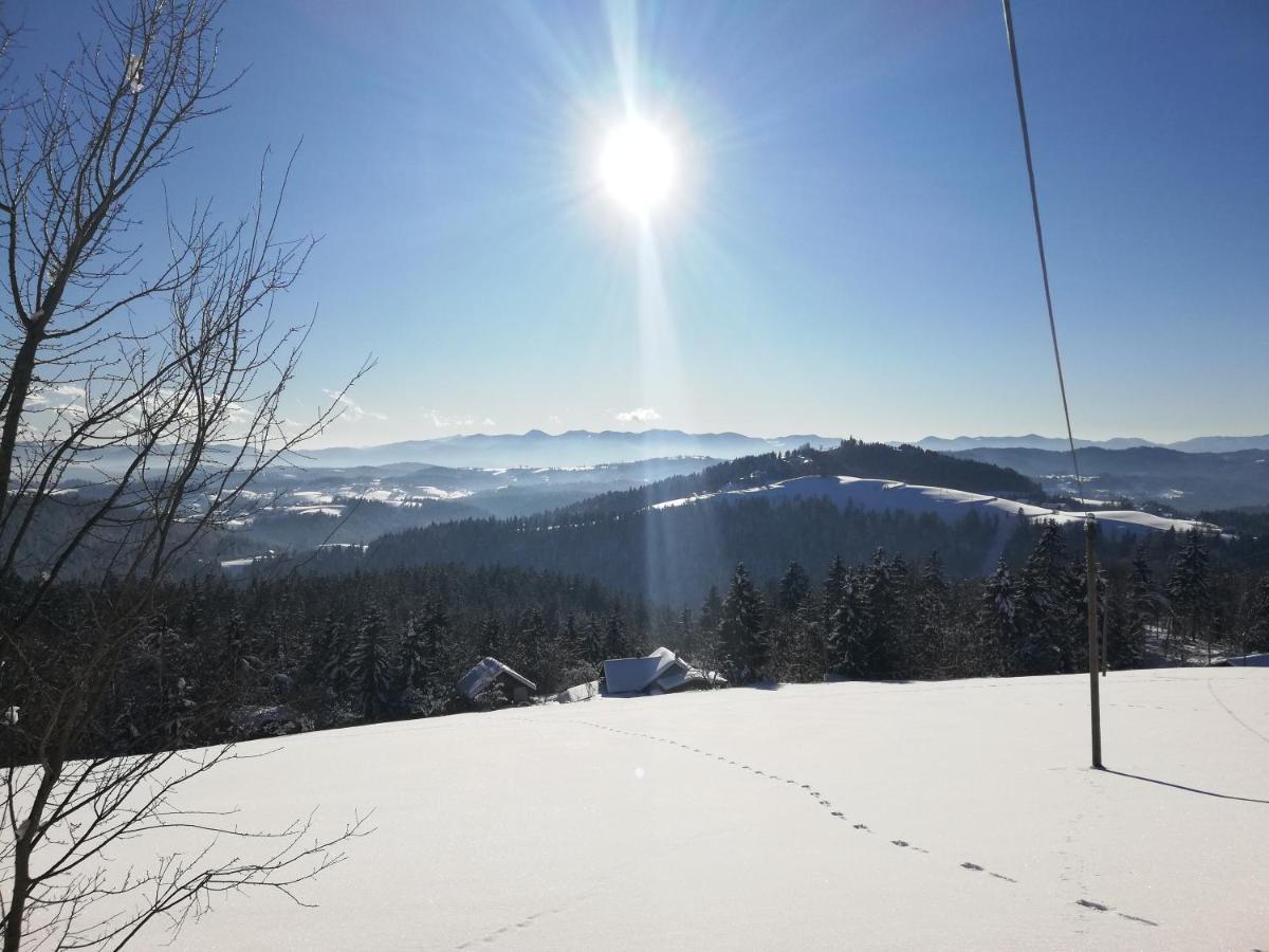 Holiday Home Forest Peace, Lavrovec Hlevni Vrh Zewnętrze zdjęcie