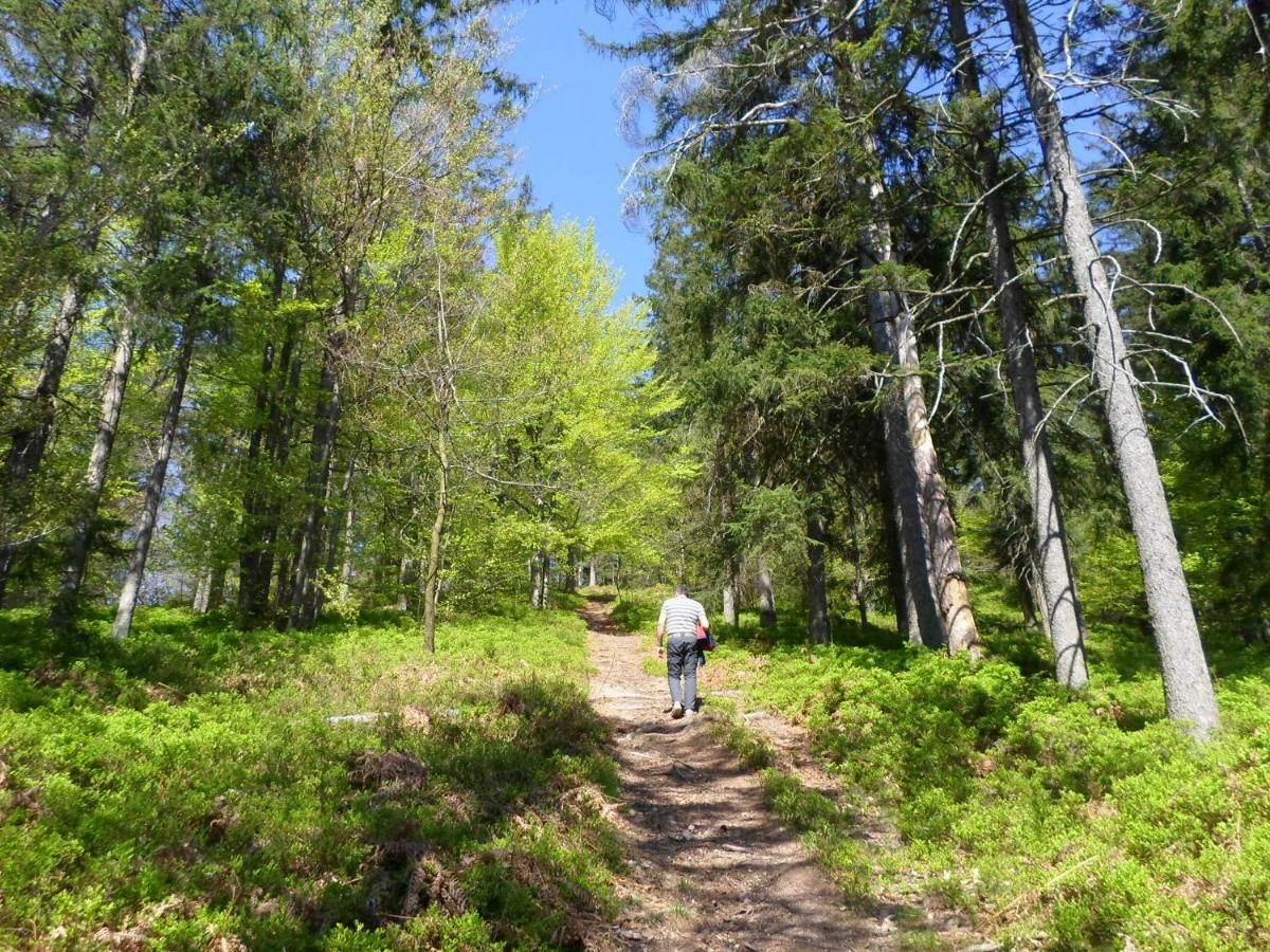 Holiday Home Forest Peace, Lavrovec Hlevni Vrh Zewnętrze zdjęcie